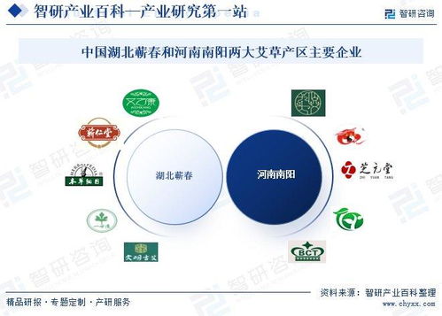 艾草行业市场动态与投资前景分析 技术创新驱动下的发展新机遇