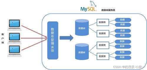 MySQL核心概念与IDEA连接实践 从SQL语法分类到数据库设计规范