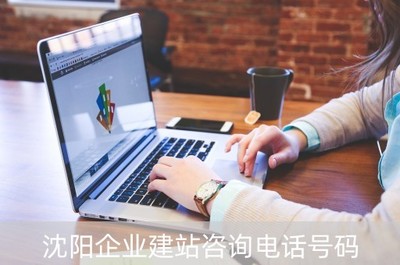 沈阳企业建站咨询与网络技术开发服务指南